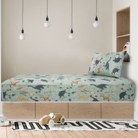 Jogo de Cama Solteiro Kids 2 Pçs Doce Vida Malha 70% Algodão 30% Poliéster Dino Selva