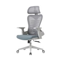 Cadeira de Escritório Presidente Ergonômica Suporte de Cabeça Lombar Altura e Braços Ajustáveis Bio Ergo Cinza