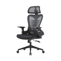 Cadeira de Escritório Presidente Ergonômica Suporte de Cabeça Lombar Altura e Braços Ajustáveis Bio Ergo Preta