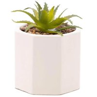 Cachepot De Cimento Com Suculenta 7,5x9,5cm Wolff Geométrico Decoração Artificial
