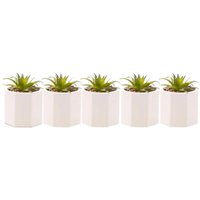 Kit 5 Cachepot De Cimento Com Suculenta 7,5x9,5cm Wolff Geométrico Decoração Artificial Casa