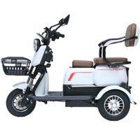 Triciclo Elétrico 750W Litio Fenix Branco Tração Reduzida - Não Precisa de CNH Triciclo Elétrico 750W Litio Fenix Branco Tração Reduzida - Não Precisa de CNH