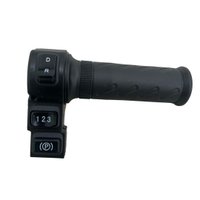 Acelerador com Manopla para Triciclo Elétrico Fênix Duos