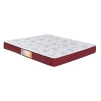 Colchão Queen D20 Castor Sleep Max 158x198x15