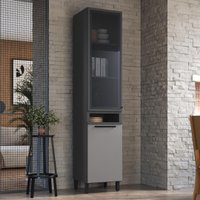 Paneleiro Simples Modulado com Vidro Fidelitá Mônaco 50cm 2 Portas Chumbo/Titânio