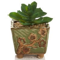 Cachepot Quadrado com Suculenta Bela Flor, Cerâmica, Verde - 14130