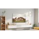 Smart TV TCL 40'' Android TV, LED, FHD - S5400A